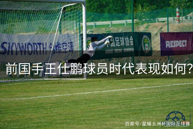 前国手王仕鹏球员时代表现如何？06世锦赛成生涯高光时刻