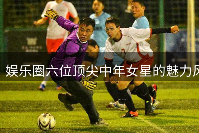 娱乐圈六位顶尖中年女星的魅力风采
