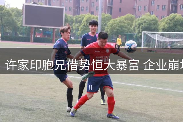许家印胞兄借势恒大暴富 企业崩塌后同陷债务泥潭